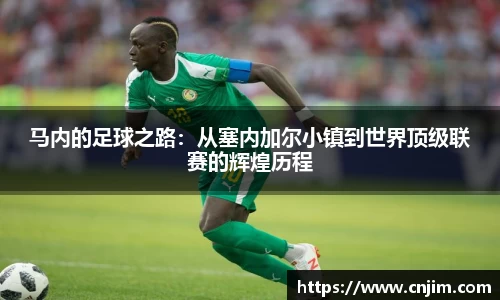伟德bv国际